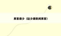 黑客康少（赵少康新闻黑客）