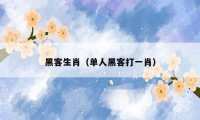 黑客生肖（单人黑客打一肖）