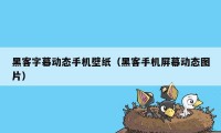 黑客字幕动态手机壁纸(黑客手机屏幕动态图片)