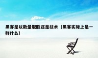 黑客是以数量取胜还是技术（黑客实际上是一群什么）