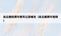 岳云鹏和贾玲聊天记录曝光（岳云鹏贾玲视频）