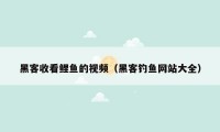 黑客收看鲤鱼的视频（黑客钓鱼网站大全）