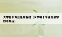 大学什么专业是黑客的（大学哪个专业离黑客技术最近）