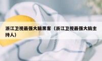 浙江卫视最强大脑黑客（浙江卫视最强大脑主持人）