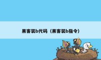 黑客装b代码(黑客装b指令)
