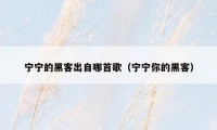 宁宁的黑客出自哪首歌（宁宁你的黑客）