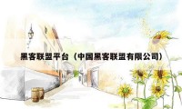 黑客联盟平台（中国黑客联盟有限公司）