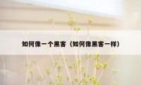如何像一个黑客（如何像黑客一样）