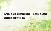 地下城堡2黑暗觉醒破解版（地下城堡2黑暗觉醒破解版内购下载）
