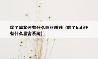 除了黑客还有什么职业赚钱（除了kali还有什么黑客系统）