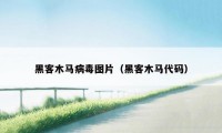 黑客木马病毒图片（黑客木马代码）
