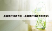 黑客各种术语大全(黑客各种术语大全名字)