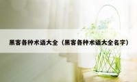 黑客各种术语大全（黑客各种术语大全名字）