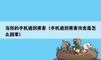 当你的手机遇到黑客(手机遇到黑客攻击是怎么回事)