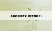 黑客的网络名字（黑客常用名）