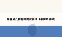 黑客分几种称呼图片高清(黑客的别称)