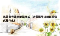 迅雷账号注册邮箱格式（迅雷账号注册邮箱格式是什么）