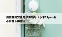 湖南益阳安化电子邮箱号(小米11pro会不会屏下摄像头)