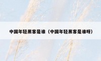 中国年轻黑客是谁（中国年轻黑客是谁呀）