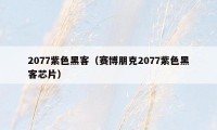 2077紫色黑客（赛博朋克2077紫色黑客芯片）
