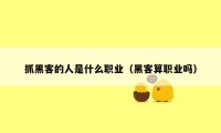 抓黑客的人是什么职业（黑客算职业吗）