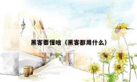 黑客要懂啥(黑客都用什么)
