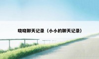 晓晓聊天记录（小小的聊天记录）