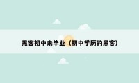 黑客初中未毕业(初中学历的黑客)