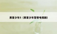 黑客少年5(黑客少年警察电视剧)