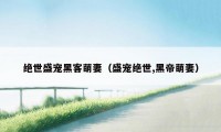 绝世盛宠黑客萌妻（盛宠绝世,黑帝萌妻）