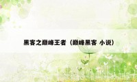 黑客之巅峰王者（巅峰黑客 小说）