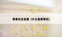 黑客松含金量（什么是黑客松）