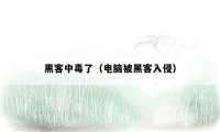 黑客中毒了(电脑被黑客入侵)