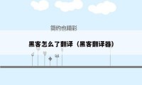 黑客怎么了翻译(黑客翻译器)