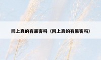 网上真的有黑客吗(网上真的有黑客吗)