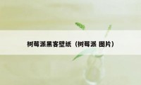 树莓派黑客壁纸（树莓派 图片）