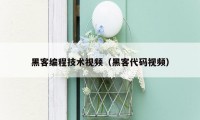 黑客编程技术视频（黑客代码视频）