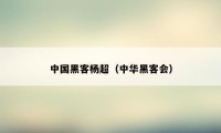中国黑客杨超(中华黑客会)