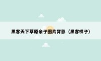 黑客天下草原亲子图片背影(黑客样子)