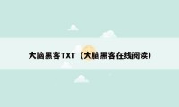 大脑黑客TXT(大脑黑客在线阅读)
