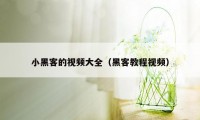小黑客的视频大全（黑客教程视频）