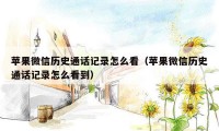 苹果微信历史通话记录怎么看（苹果微信历史通话记录怎么看到）