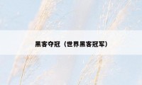 黑客夺冠（世界黑客冠军）