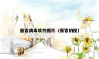 黑客病毒软件图片（黑客的图）