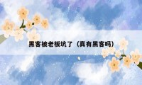 黑客被老板坑了（真有黑客吗）