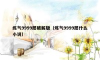 练气9999层破解版（炼气9999层什么小说）