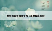 黑客方向有哪些东西（黑客发展方向）