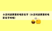 小丑对战黑客的电影名字(小丑对战黑客的电影名字叫啥)