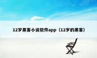 12岁黑客小说软件app（12岁的黑客）