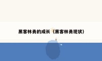 黑客林勇的成长（黑客林勇现状）
